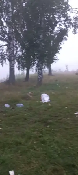 Когда слегка перебрал и не помнишь что было 