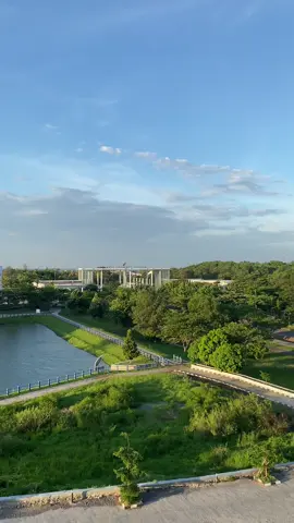 The forest campus is foresting 🌳 #fyp #itera