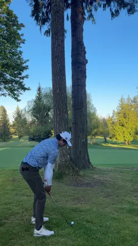 🌲⬆️🌲 - high risk, low reward #golf 
