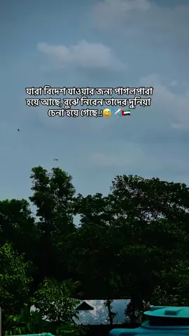 যারা বিদেশ যাওয়ার জন্য পাগলপারা হয়ে আছে বুঝে নিবেন তাদের দুনিয়া চেনা হয়ে গেছে..!😅✈️🇦🇪 #foryou #foryoupage #dubai_dxb_uae #dubai🇦🇪 #bdtiktokofficial #bdtiktokofficial🇧🇩 