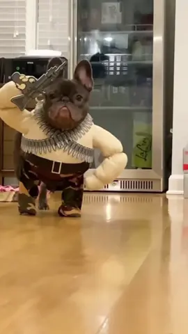 #BouledogueFrancais #DogLovers #bouledoguefrançais #bouledogue #bouledoguefrancese #bulldogfrances #bulldogfrancesecelebrity #bulldog #bulldogsoftiktok #bulldogfunny #boulyboss #animaux #animauxcute #viralditiktok #animaux_rigolos #animauxdrole #dogsoftiktok #chien #dog #dogfunny #funnypets #funnytiktok #funnyanimals #cutefrenchbull #frenchbullog