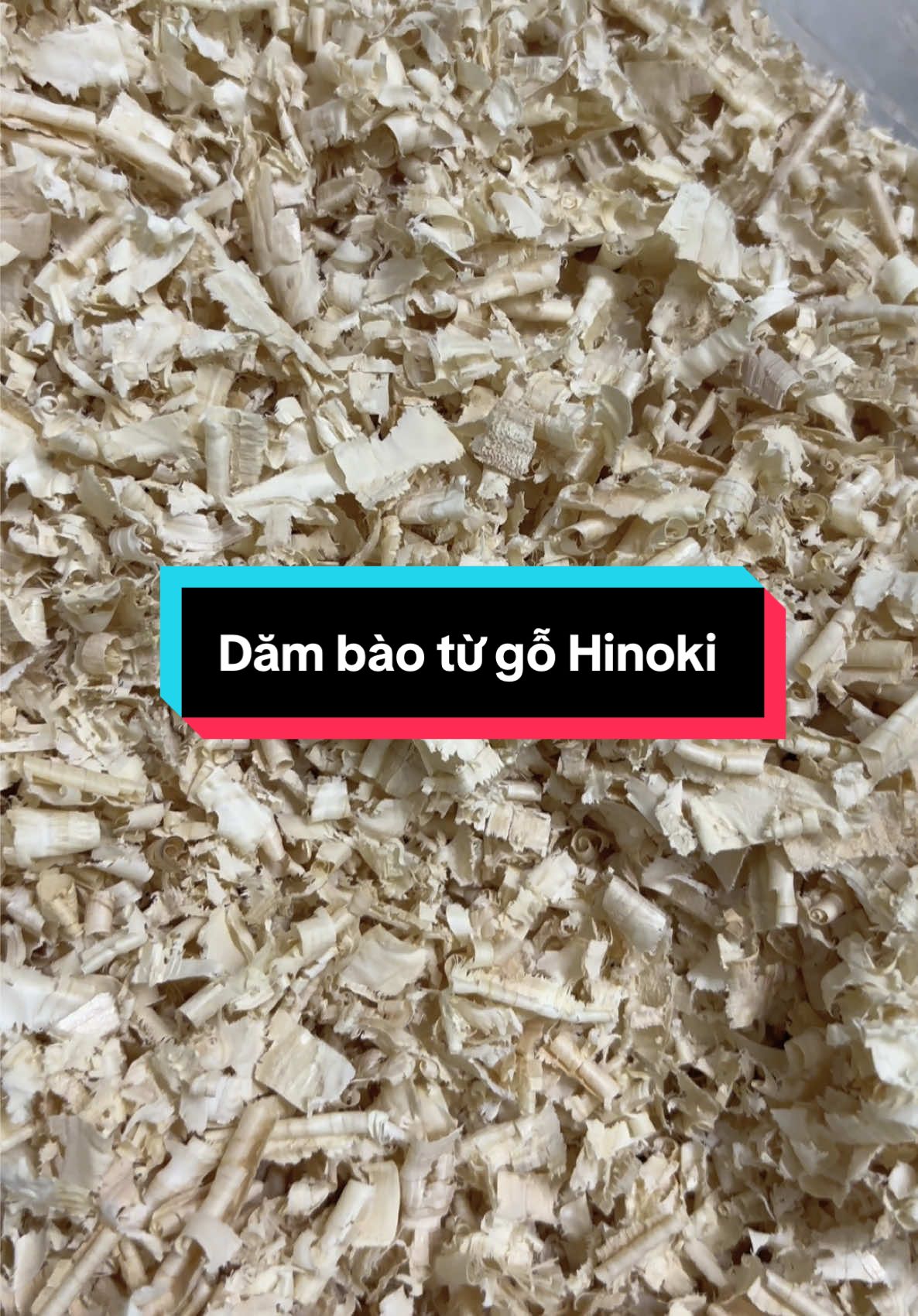 Dăm bào lót chuồng cho thú cưng  #xuhuongtiktok #fyp 