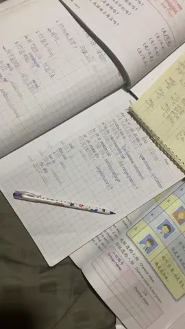 ញុមពេលប្រឡងចិនម្ដងៗ🫨😫