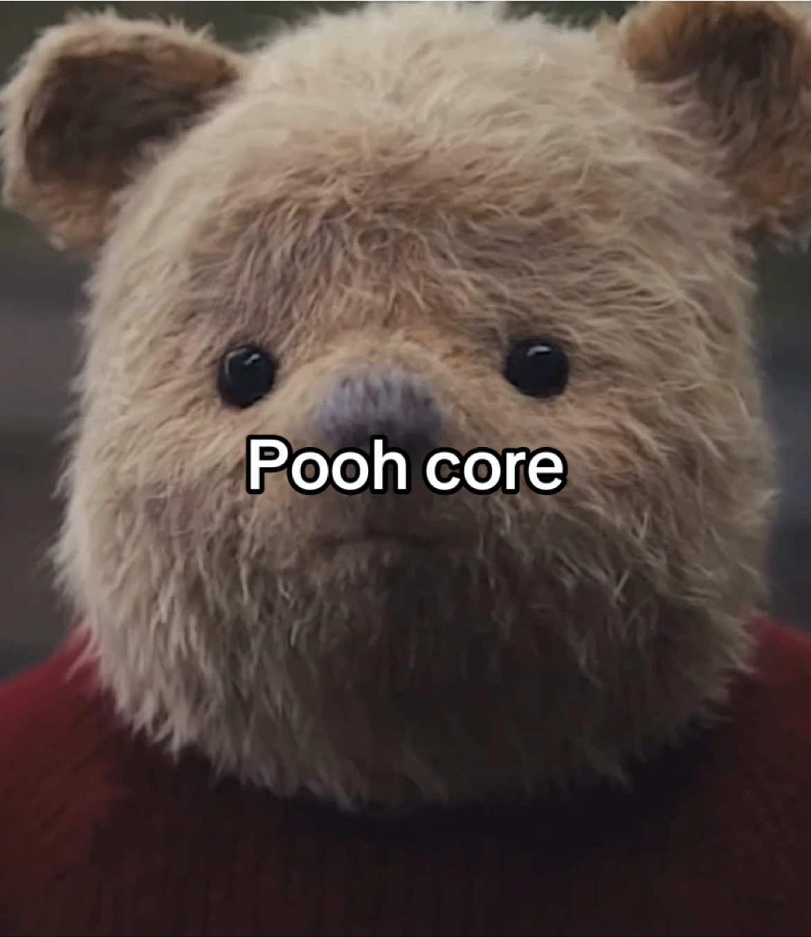 The cutest bear #winniethepooh #pooh #poohbear #christopherrobin #disney #disneyedit #movie #film #cute #edits #xyzbca #foryou #fyp 