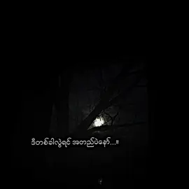 အတည်...။#mj_2010 #စာတို☯ 