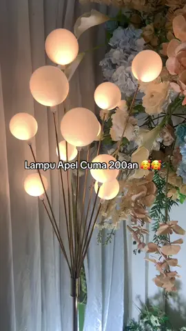 #lampuapeldekorasi #lampuapeldekorwedding #lampungtiktok #pendekor #dekorasi #dekorasiwedding #dekorasipernikahan #dekorasilamaran #dekorasipelaminan 