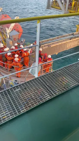 #walktowork #sealife #manpower 