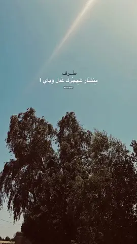 متابعه للحساب ✨🤍#شعر #سمير_صبيح #جبار_رشيد #explore 