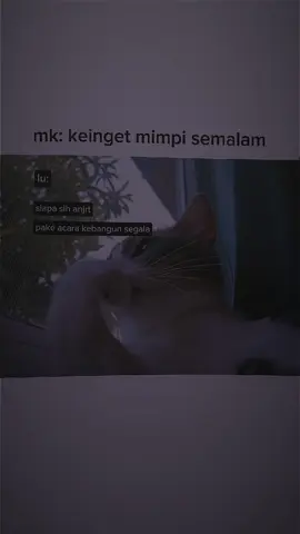 mau lu udah nikah pun gw yakin tetep males bangun klo mimpi ginian🗿 #bahanswmu #videoviral #masukberanda #4you 