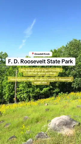 Have you visited Georgia’s largest state park - F.D. Roosevelt State Park ?  What a beautiful place to visit!  The kids enjoyed it as well. #gaparks #gastateparks #outside #Hiking #dowdellknob #harriscounty #pinemountain #familytime #DidYouKnow #travelfamily 