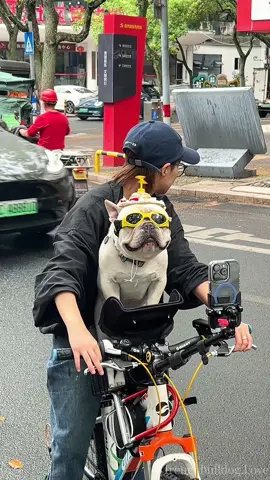 Sunday horse riding with pig#frenchbulldog #doglover #pig #cutepet #dogsoftiktok #fyp