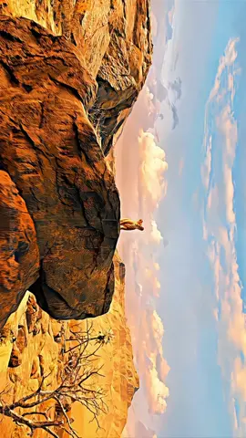 THE BEAUTY OF MUFASA🦁 #mufasa #lionking #edit #lionking2 #4k #120fps 