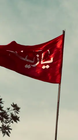 #رفع #راية #السيده_زينب_عليها_السلام #البصره_العراق #الجمعيات #الحسين #ثورة #خالده #ابالفضل_العباس #سورياا #مقام #السيده_زينب_عليها_السلام 