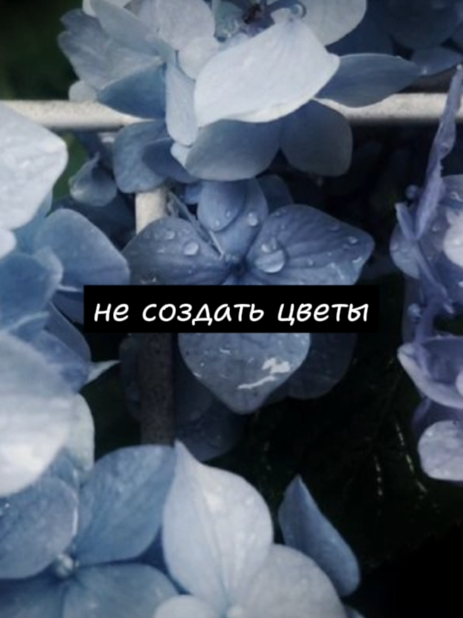 не создать цветы – mzlff & playingtheangel #mzlff #несоздатьцветы #песня #мазеллов #playingtheangel #lyrics #music #fyp #foryou #foryoupage #trending #viral #followme #tiktok #xyzbca 