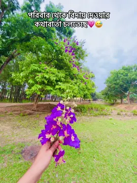 পরিবার থেকে বিদায় দেওয়ার কথাবার্তা চলতেছে💗😅#foryou #foryoupage #titokviral #trendingsong #viral #tendingvoice #_sana_640 #flyppppppppppppppppppppppppppppppp #trendingvideo #flypppppppppppppppppppppppppppppppp @TikTok @Tik Tok bd official 