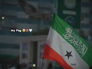 My Flagg Ciiltire😭💐🩸Repost iO Floww❤️ #viewsproblem #viralvideo #fyp #views #foryou #foryoupage #somalitiktok #somaliland #isaaq #somalilandtiktok💚🤍❤ 