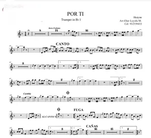 #CapCut #arreglomusical  #porti #partituras #arreglobanda #peru #bandita #huayno_peruano #chinitodelande #lahuaranchal #