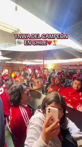 Así fue el YNWA en Chile❤️#liverpoolfc #ynwa🔴🔴🔴 #lfc #paratiiiiiiiiiiiiiiiiiiiiiiiiiiiiiii #arsenal #manutd #PremierLeague 