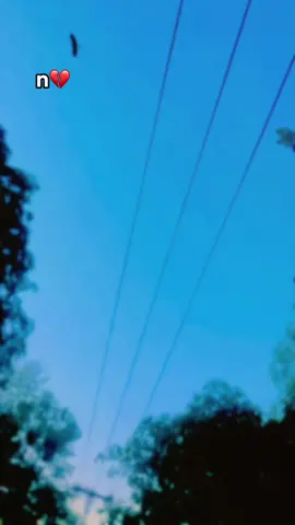 #foryou #foryoupage #viralvideo #amjid#💔💔❤️‍🔥❤️‍🔥❤️‍🩹❤️‍🩹😘😘🥹🥹n💔👈