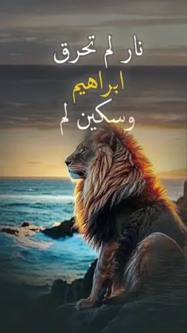 #الحياة #قلبي  الحياة كلمات #عبرات_من_القلب  #_عبارات_خواطر  #اقتباسات_عبارات_خواطر  #كلام_من_الأعماق  #كلام_من_ذهب  #افهم  #حكم #ترند #50 #مليون #60 #مليون مليون #الشعب_الصيني_ماله_حل #هاشتاج #10 #مليار #كلمات #عبارات  #الحياة #creatorsearchinsights 