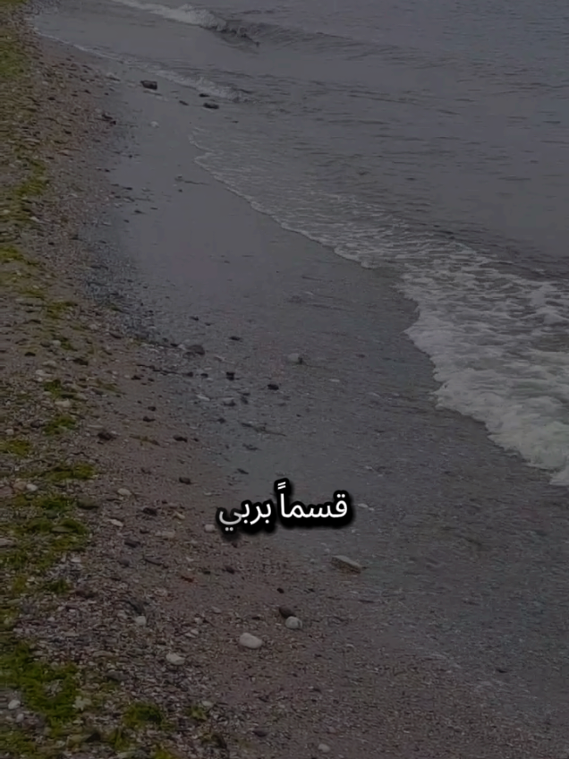 قسماً بربي  لو أنك تعلم ماذا فعلت بقلبي لبكيت سنين حياتك وأنت تردد كلمة أنا آسف  #تركيا #اسطنبول #الغربة #مغترب #شعروقصايد 