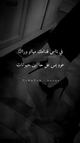 معي حق 👌😉🐍#وهيكااا🙂🌸 #عمحاكيكن🤝🌚🖤 #الشعب_الصيني_ماله_حل😂😂 #tikto #tikto #tiktoklongs #fyp #مشاهدات_تيك_توك #تيك_توك_أطول #مالي_خلق_احط_هاشتاقات #لايكاتكم #تابعوني #t #اكسبلور 