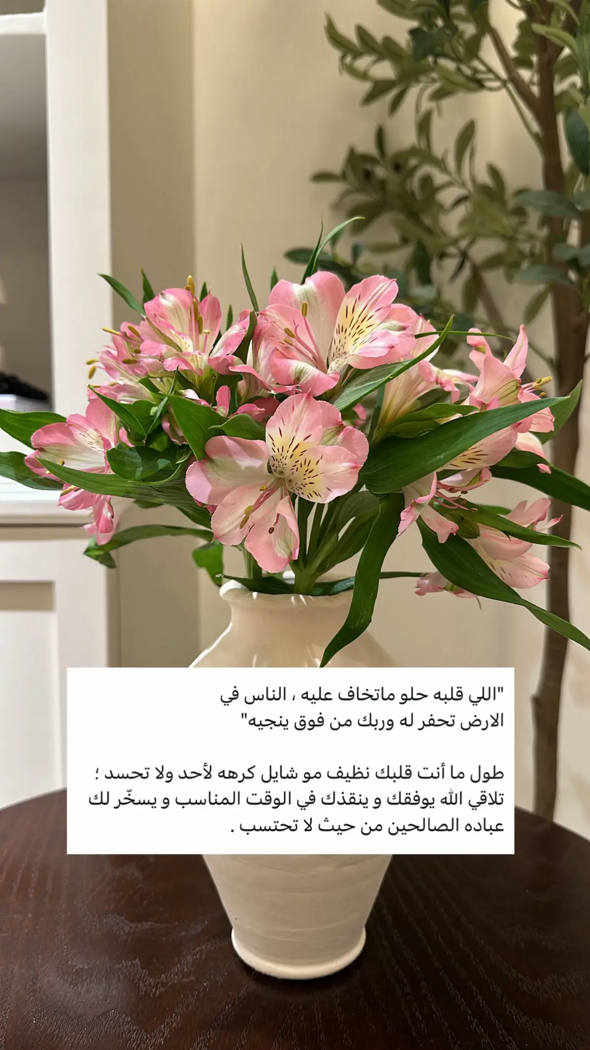 #مالي_خلق_احط_هاشتاقات #fyp 