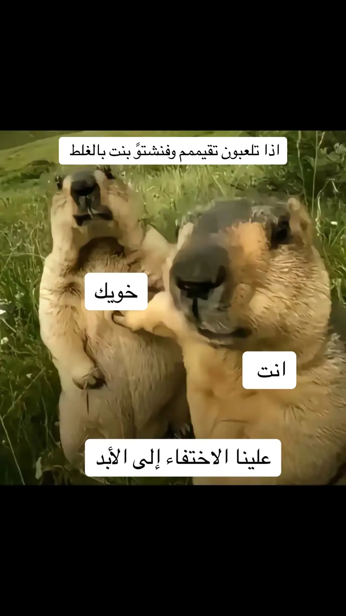#ببجي #ببجي_السعودية #ببجي_موبايل #fypシ #fyp #vira #foryoupage #vira #اكسبلورexplore #اكسبلور 