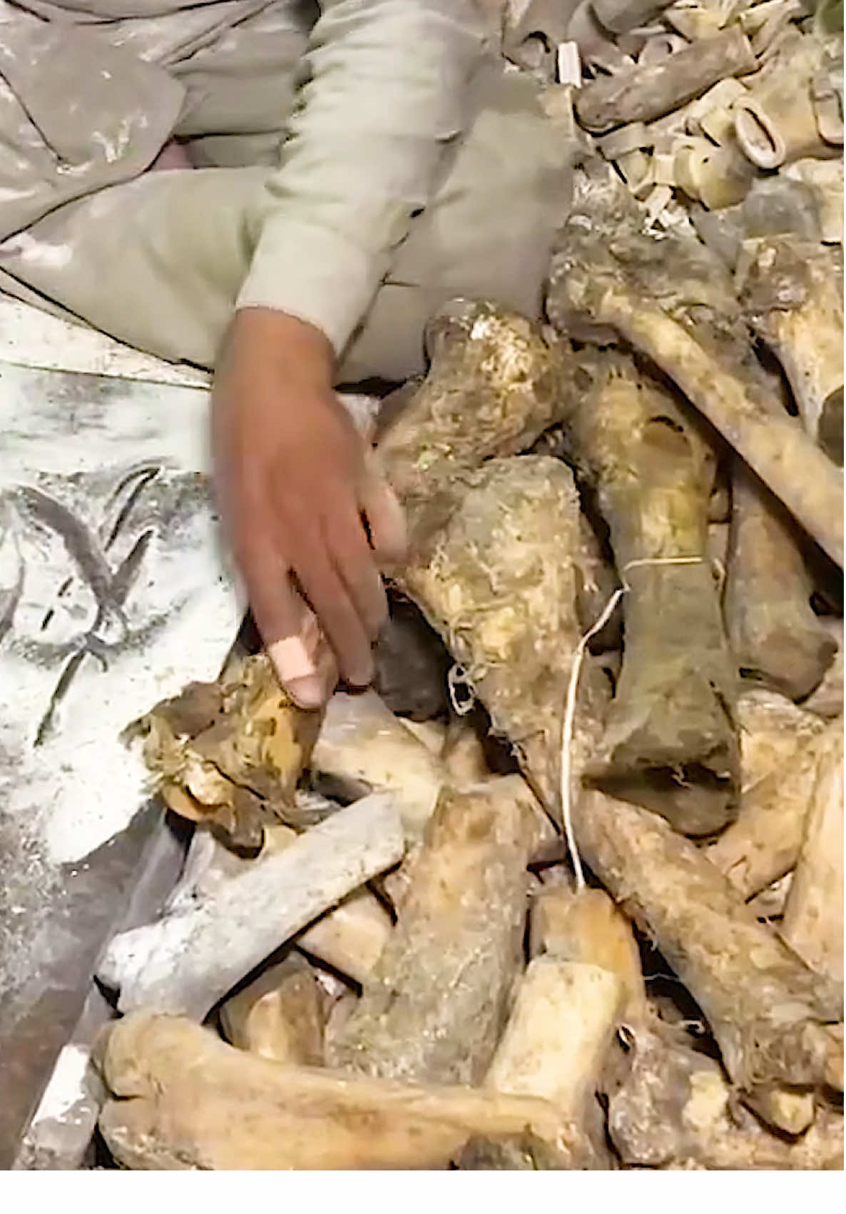 Old Animal Bones Into Buttons 