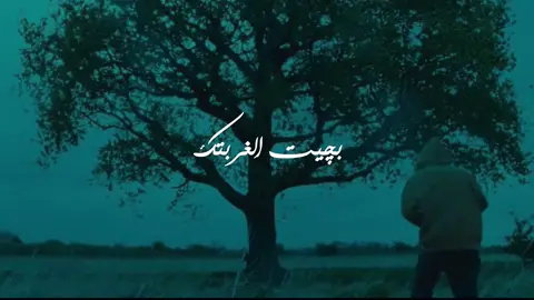 #سيد_سلام_الحسيني #ثاري_الهجر_ذباح #لايك #متابعه #تصميم_فيديوهات🎶🎤🎬 
