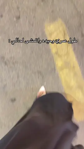 فديتهم صارو لي اخوات 🤣🇸🇦🇸🇦🇸🇦 #السفارة_السعودية #نينا_ابراهيم #نينا_بلوقر_جازان #ترندات_تيك_توك #مطاعم_جازان #الشعب_الصيني_ماله_حل 