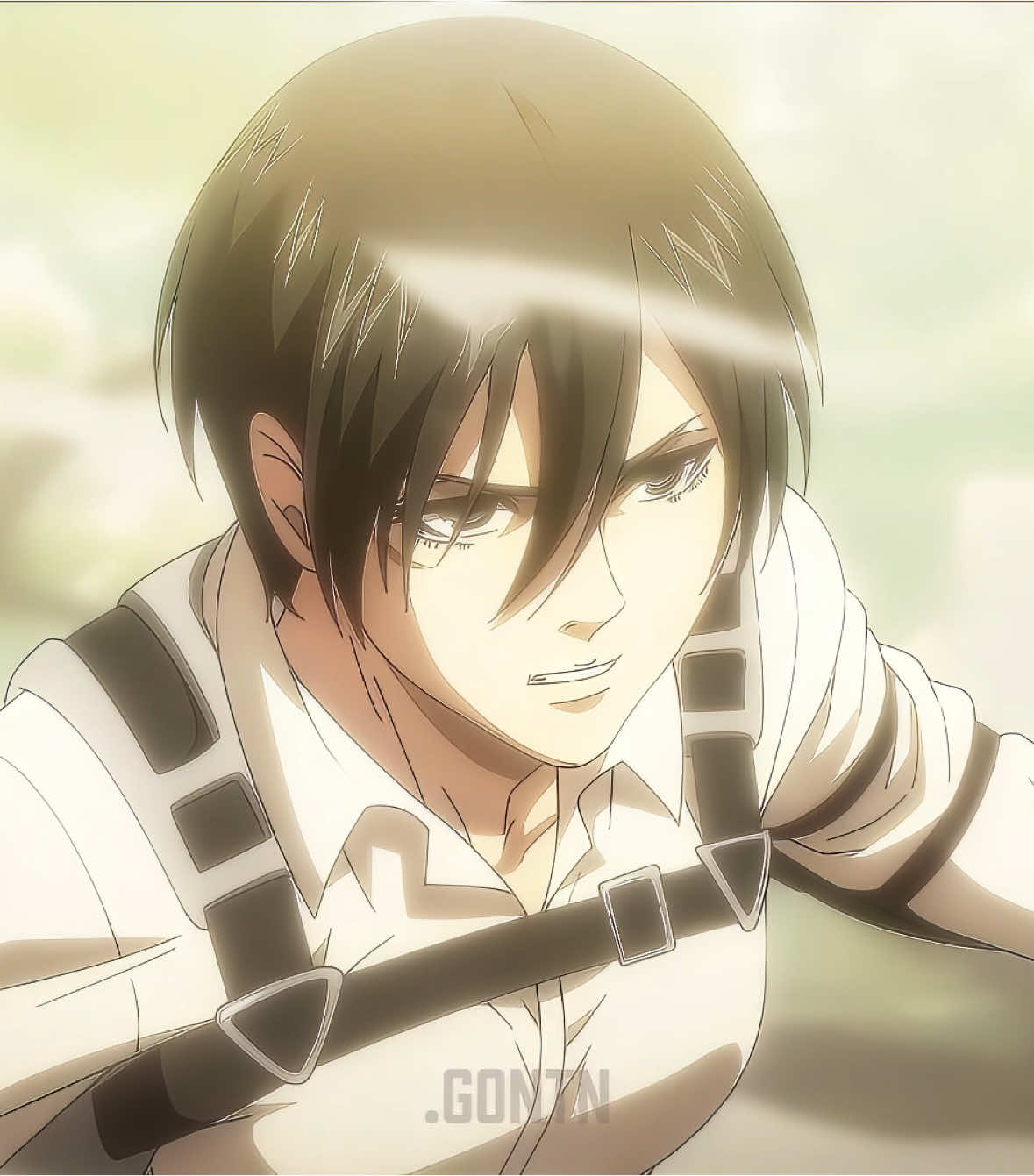 The QUEEN Mikasa Ackerman 👑⚔️ #snk #shingekinokyojin #aot #mikasa #mikasaackerman #eren #animeedit #edit
