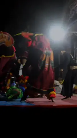 singobarong ganas 1231 #rogosamboyoputro1289 #kediri24jam #jaranan #jaranantiktok #jarananindonesia #rsp #lumajang #budoyojawi #jaranankediri #jarananjawatimur #malang #jember #barongan #barongankediri #baronganngamuk #jawapride #sps1231 #jarananlumajang #singobarong #baronganlumajang #F