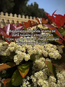 🥹 #keşf #trend #global #fyppppppppppppppppppppppp #fypシ゚ #fyp 