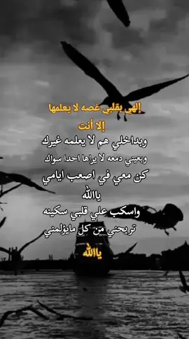 #بنت #الأجاويد، 