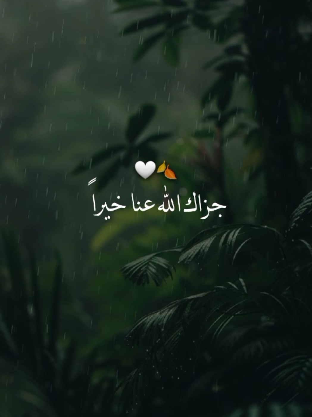 جزاك الله خيرأياأبي٫٫🍃🩶🎧#رساله بك ابي#كلام_من_ذهب #ادعيه #ادعية_اسلامية_تريح_القلب #ادعيه_تريح_القلب #اكسبلورexplore #foryoupage #ياارب🤲🥺 