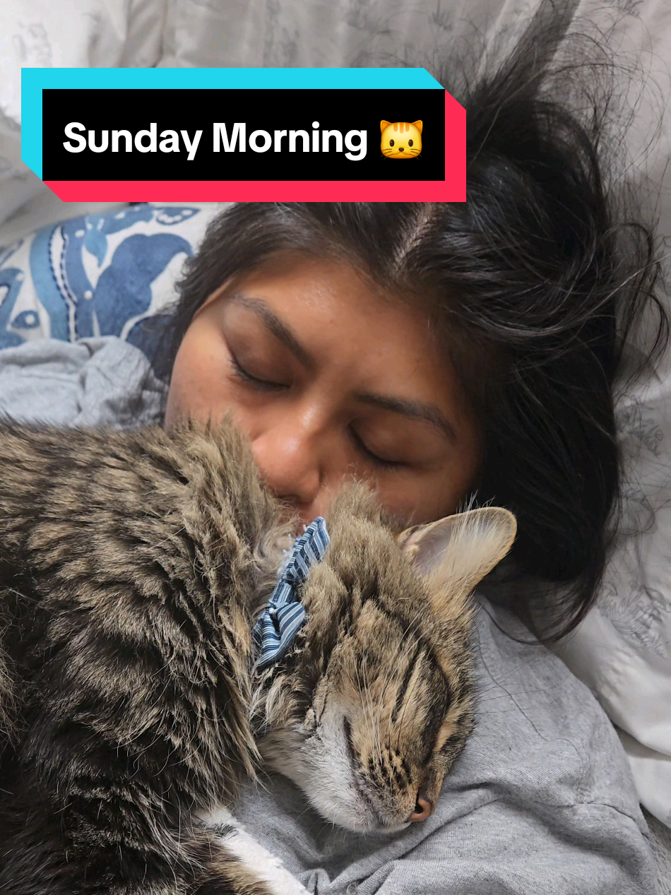 It's Sunday morning, and I was ready to get up a long time ago. I am still laying in bed because of this sweet baby. Their life is too short and moments like these don't last forever.  #cat #cats #catsofinstagram #catstagram #catlover #instagram #catlife #catlovers #instacat #kitten #kitty #Love #cute #meow #pet #catoftheday #pets #kittens #animal #cutecat #catlove #gatos #petsofinstagram #kittensofinstagram #hooman #cuddles #bhfyp #catreels #reel #fyp