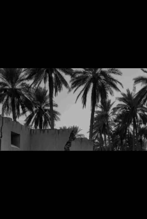 ٨:٣٠مَ،ما زلت أبحث عني بين حطام الأشياء التي تركوها. #عباراتكم #حياة🖤 #موسيقى #مبقاش_انا #قصائد_اشعار 