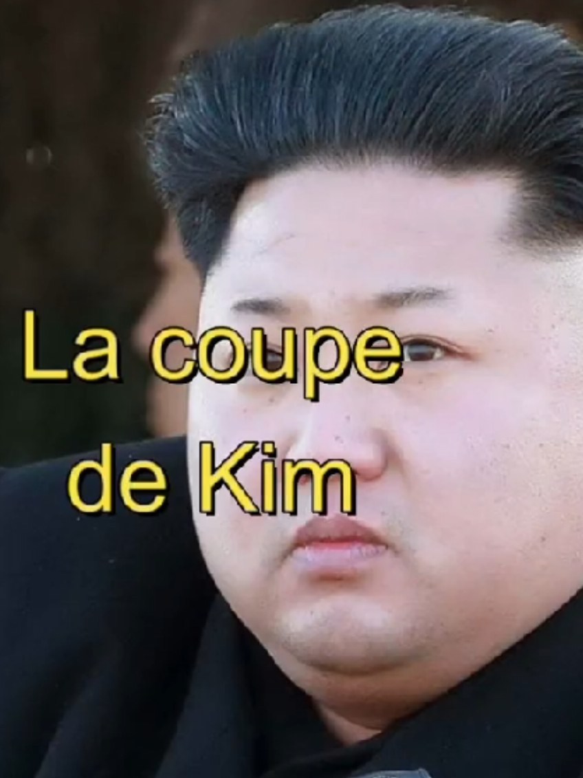 La coupe de Kim #pourtoi #histoire #kimjongun #Corée #coreedunord 