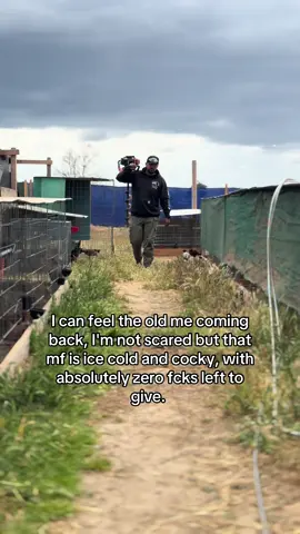 #fyp #foryoupage #viral 