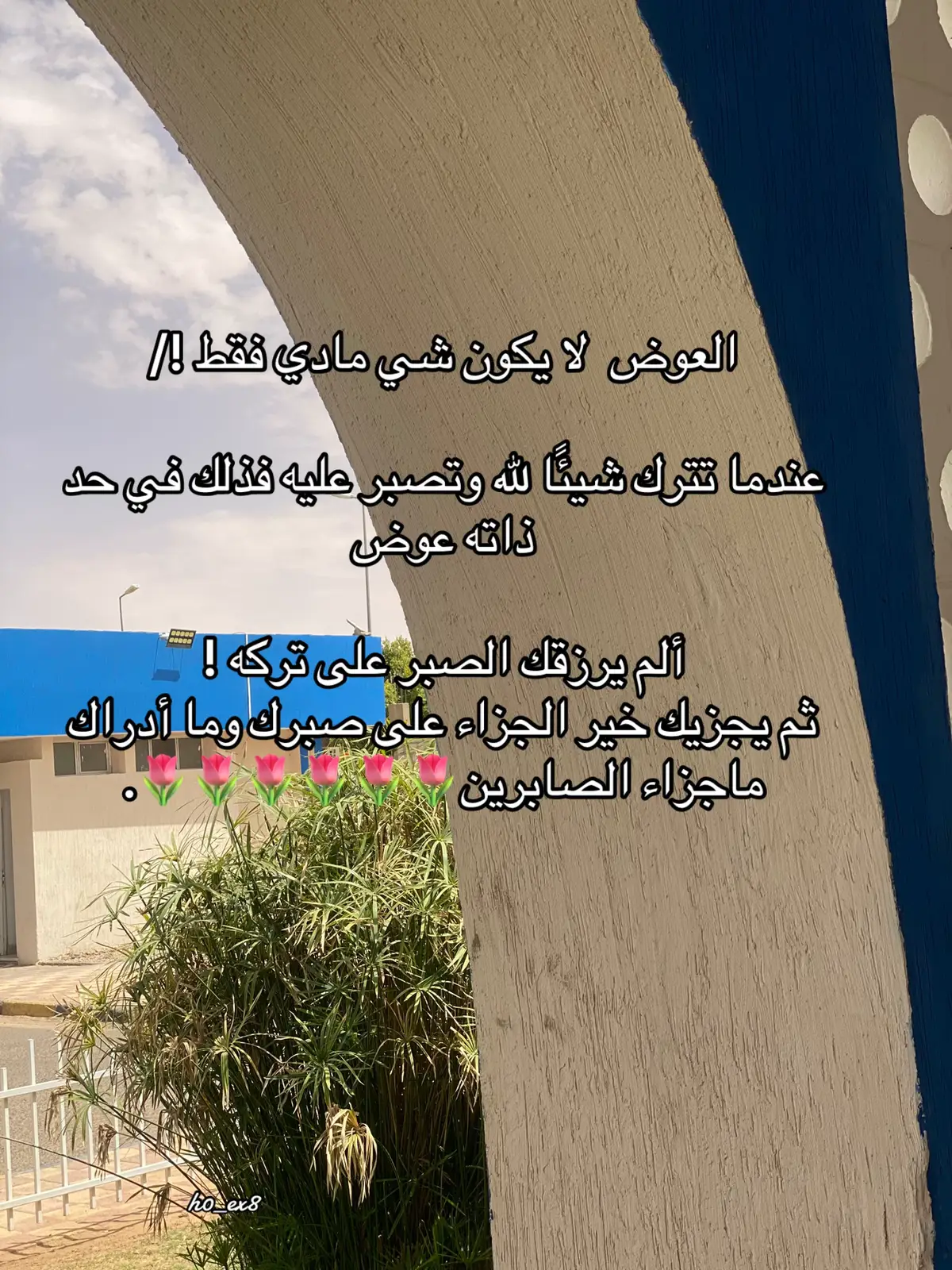 #سبحان_الله_وبحمده_سبحان_الله_العظيم 