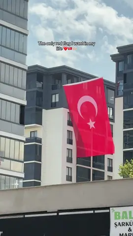 Remake: The only red flag I want in my life ❤️🇹🇷🫶🏻 #turkiye🇹🇷 #turkiye #turkey #seniniçin #turkishfood #turkishseries #turkishdrama #istanbul #travelturkey 