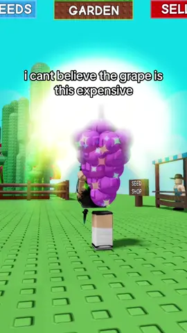 wet shocked rainbow grape #roblox #growagarden #growagardenroblox #fyp 