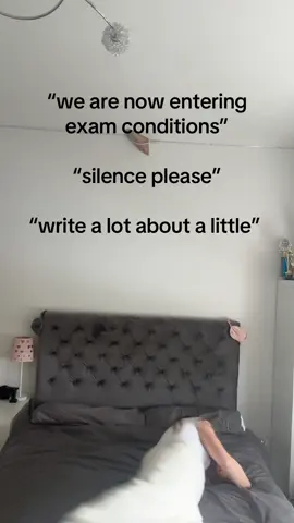 no thank you. 👋 #exams #gcse #examseason #mocks #uk #ukschool #fyp #foryou #relatable #english #viral #no 