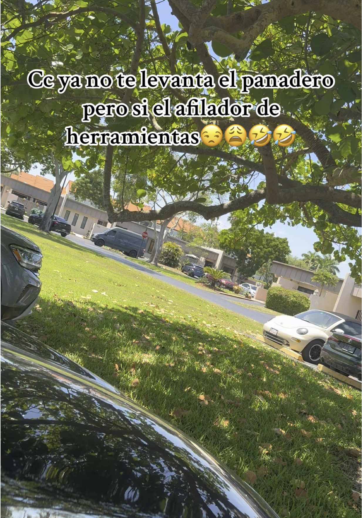 #🇨🇺🇺🇸 #wowpedro🙄🤣 #miamiysuscosas🤭 #🤣🤣🤣 #fypシ #parati #viral?videotiktok😇😇 
