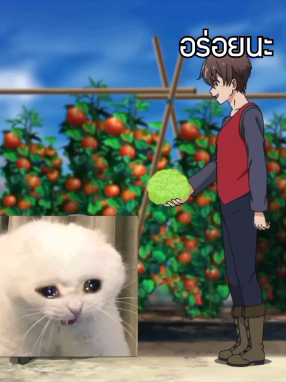 อร่อยนะ😶 #ช่องแห่งความลับ  #ผมนี้แหละจะเป็นเกษตรกรอันดับหนึ่งให้ได้ #อนิเมะ 