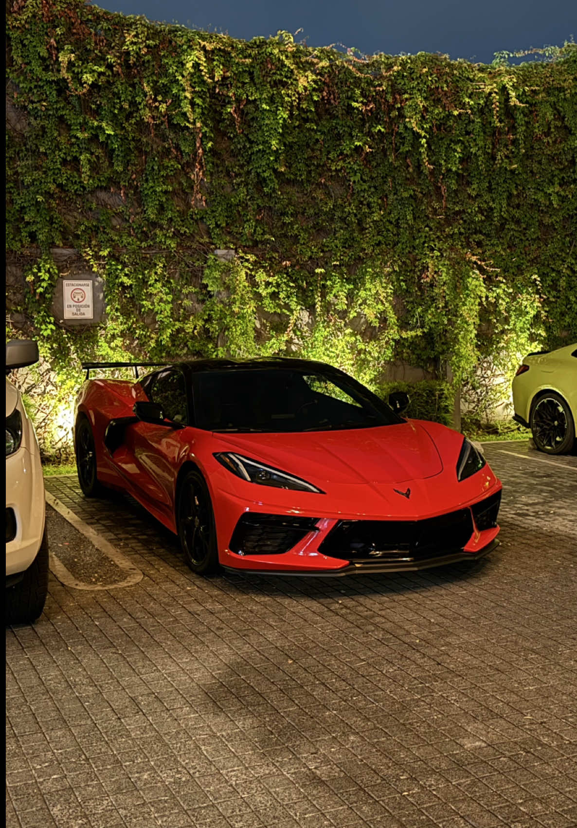Start Up ! Corvette C8 Stingray 🧡 #chevrolet #corvette #cars #c8 #stingray #fyp #capcut #tiktok #Foryou 