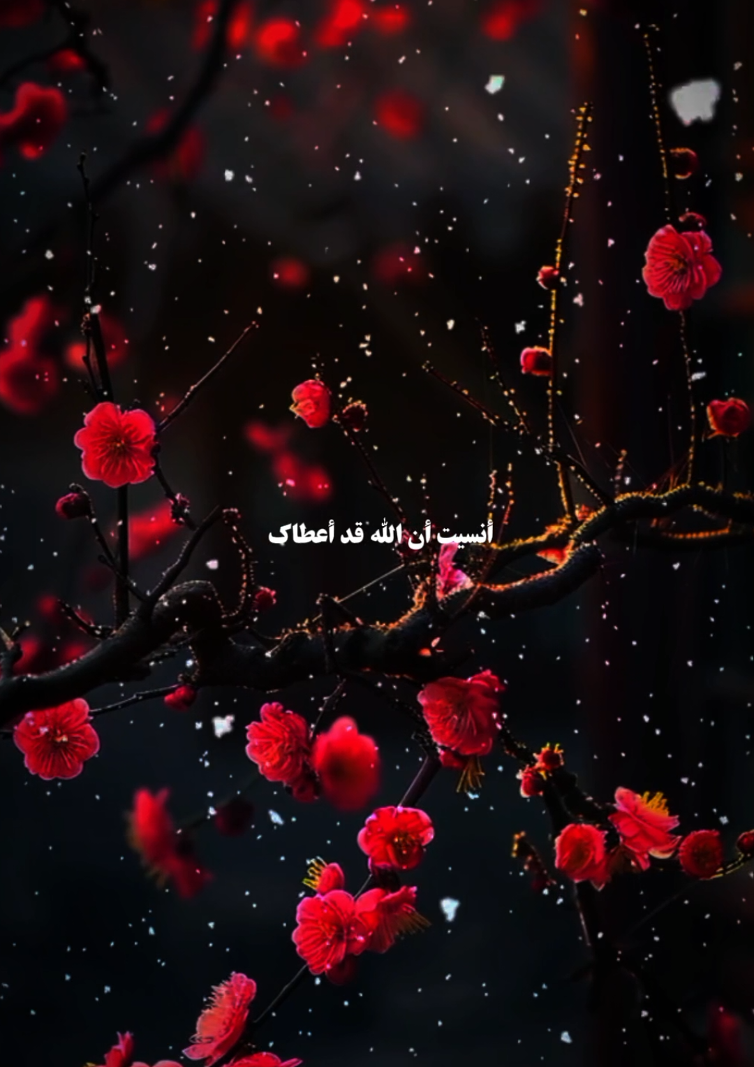 يامن_عصيت_الله_يوماغافلا #fyp #foruyou #videoviral #viral_video #Vlog 