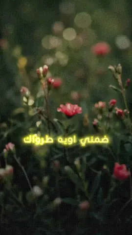 ضمني اويه طرواك🤍[بصوتي]#تصميم_فيديوهات🎶🎤🎬 