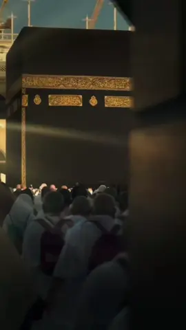 ربي لا تحجب دعوتي ولا ترد مسألتي #يارب #اللهم_امين_يارب_العالمين #دعاء_جميل #اللهم_امين #يارب❤️ 